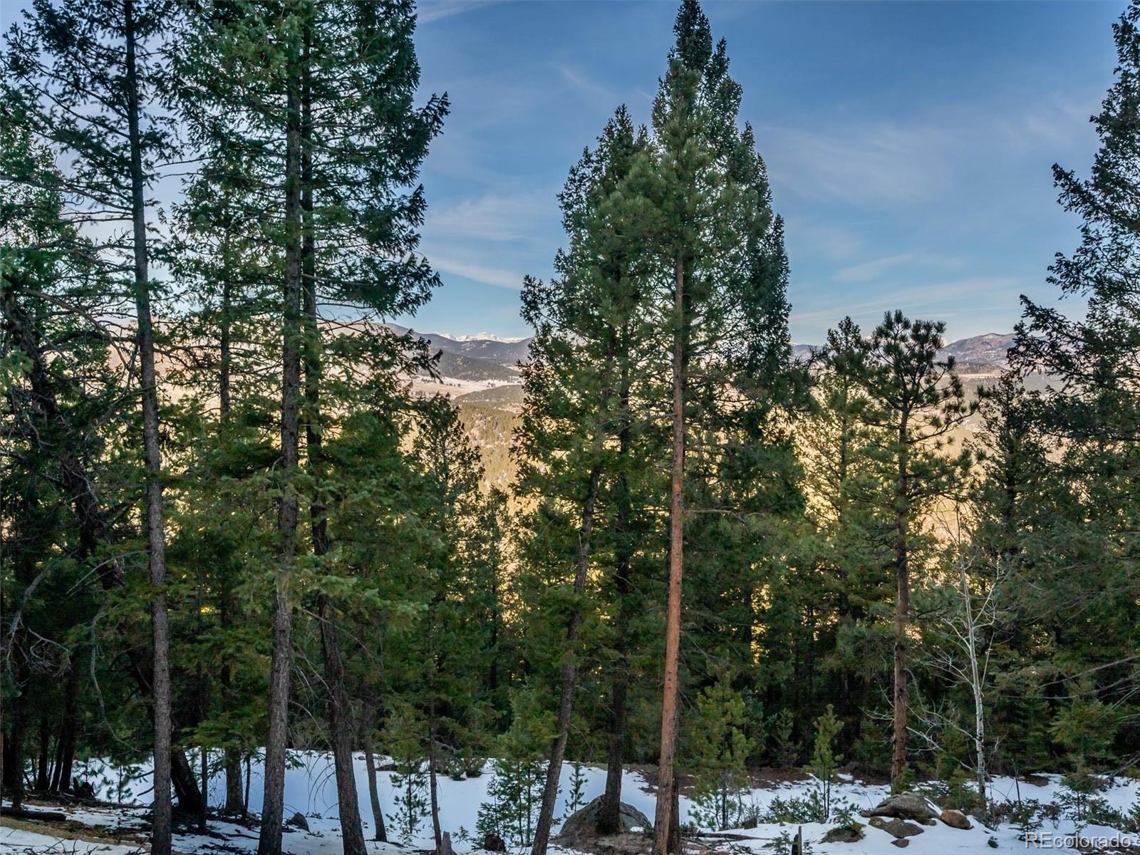 26314 Independence Trail Evergreen, CO 80439 - Photo 9 of 15