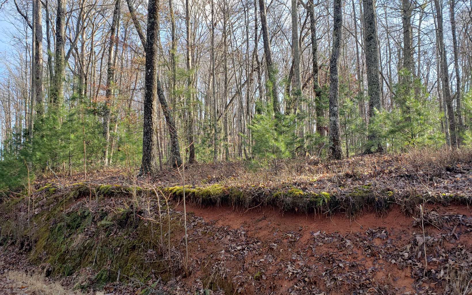 Lt24 Lt24 Turkey Scratch Road Morganton, GA 30560 - Photo 5 of 10 Additional View
