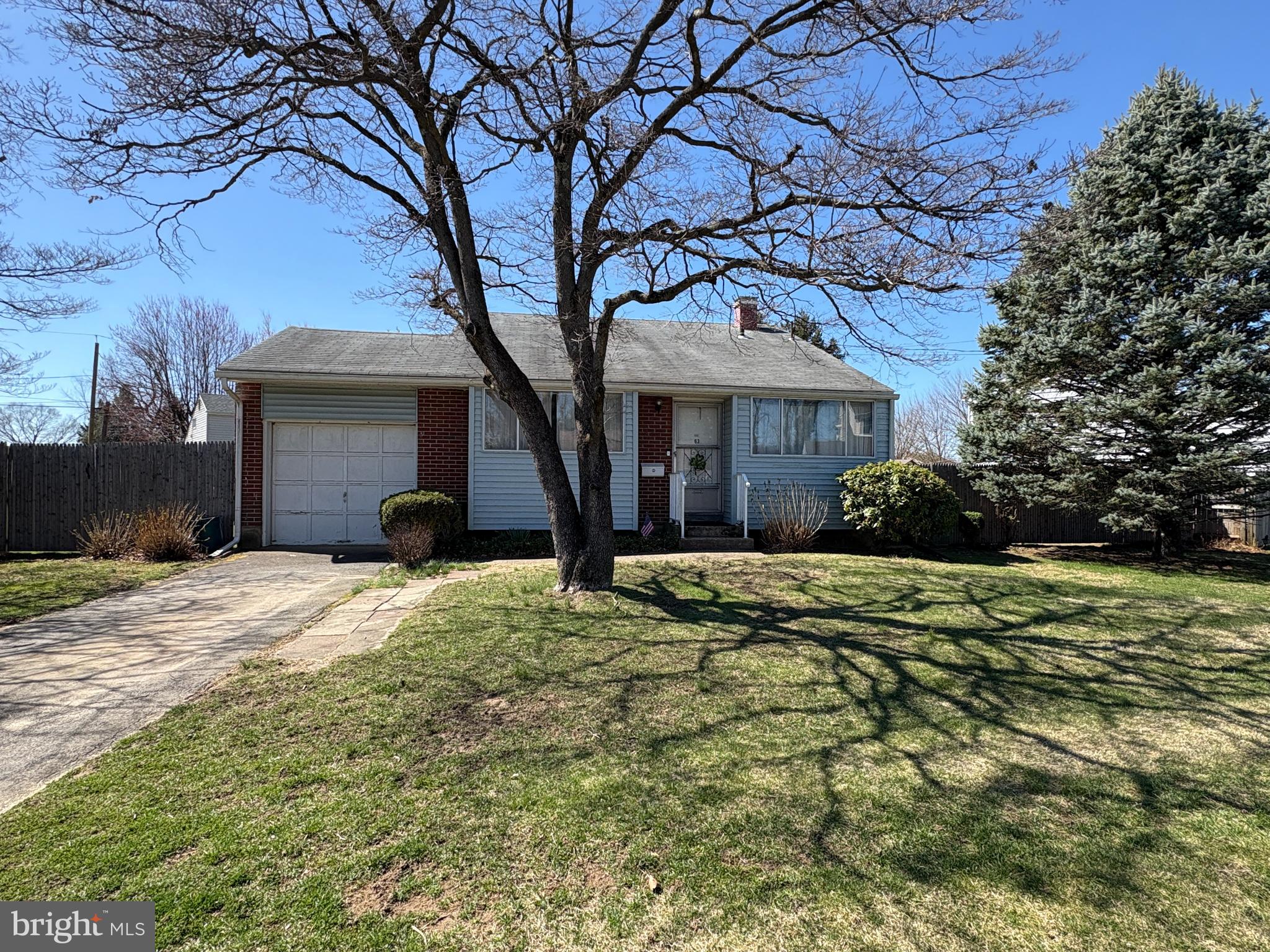 a tree in front of a white house