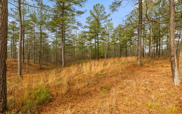 $150,000 | Lot 1326 Musket Road, Guild, TN 37340