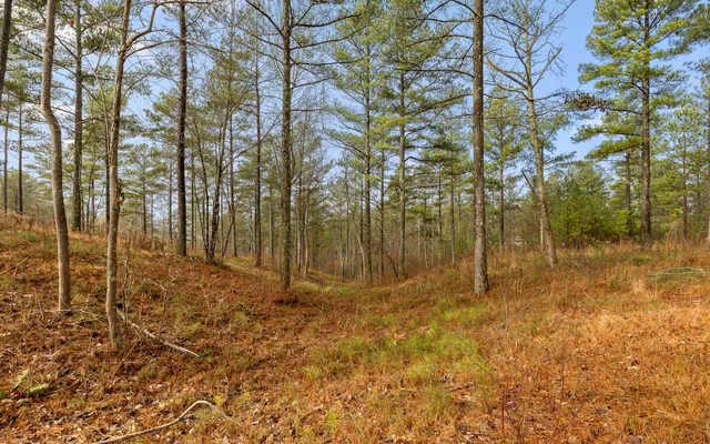$150,000 | Lot 1326 Musket Road, Guild, TN 37340