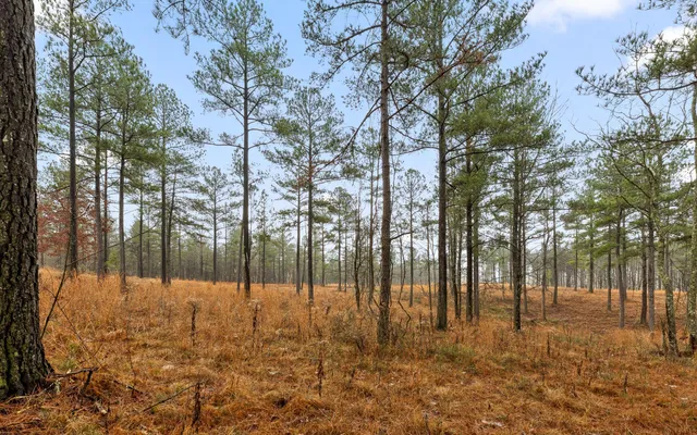 $150,000 | Lot 1326 Musket Road, Guild, TN 37340