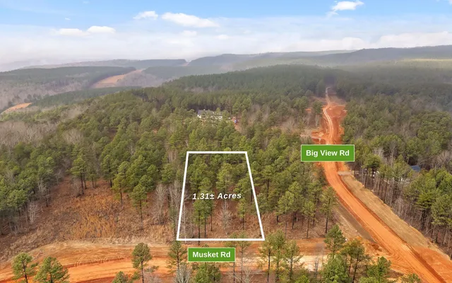 $150,000 | Lot 1326 Musket Road, Guild, TN 37340