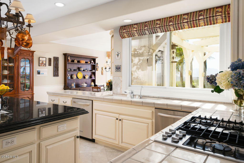 11120 Presilla Road Camarillo, CA 93012 - Photo 23 of 82 DSC07841