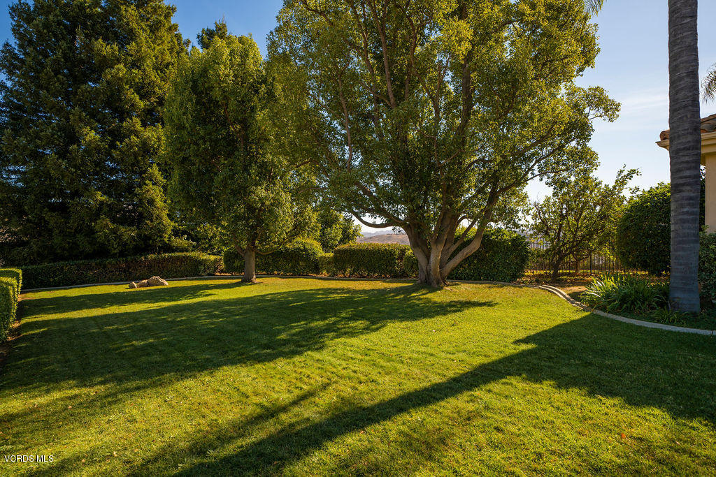 11120 Presilla Road Camarillo, CA 93012 - Photo 60 of 82 DSC07920