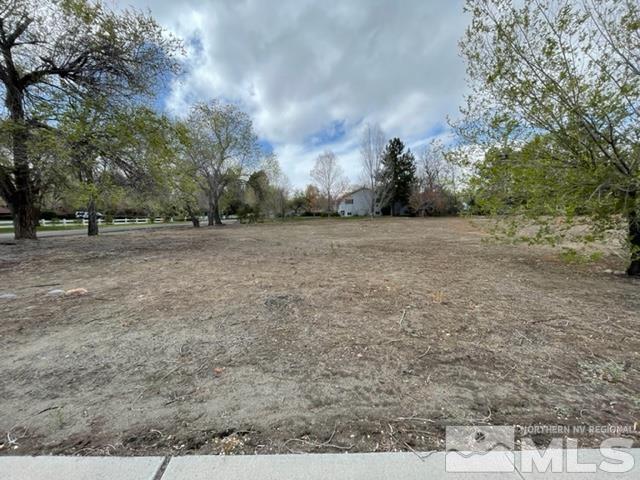 1545 Meadowview Lane Reno, NV 89509 - Photo 35 of 36 a view of a field with trees in background