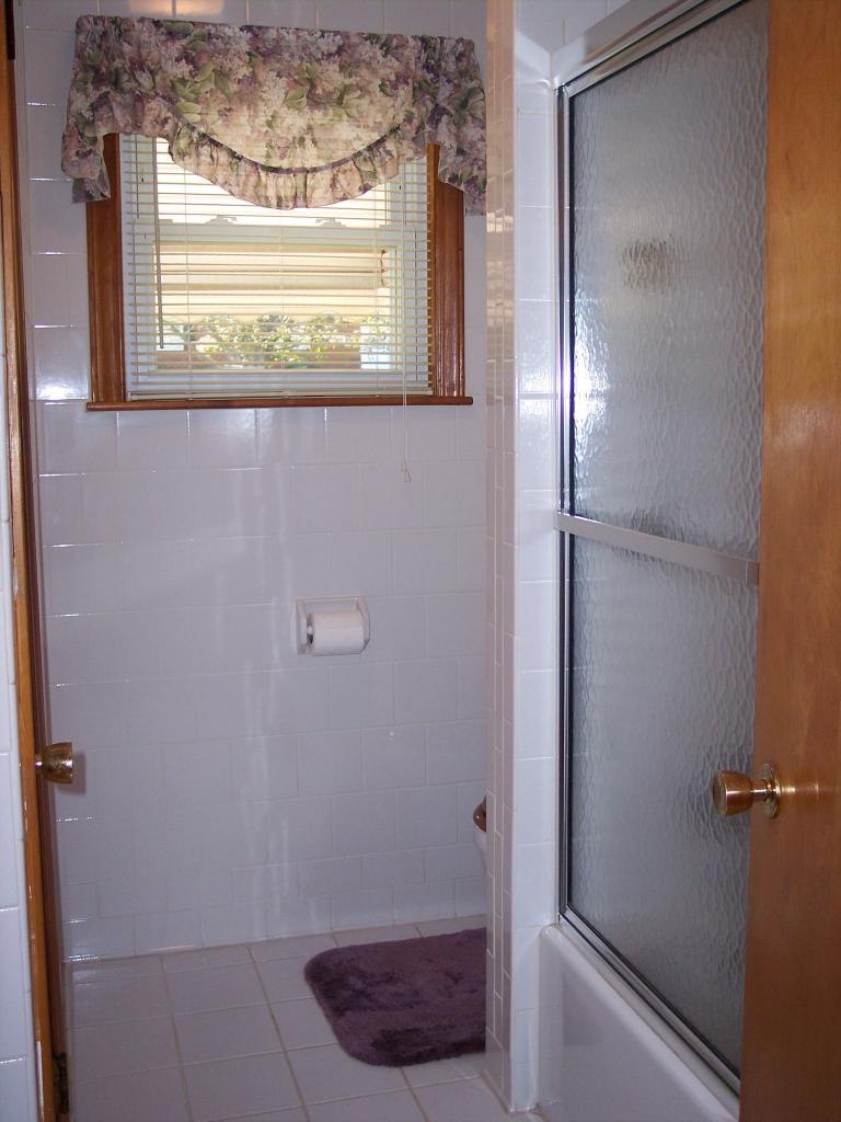 508 Blue Ridge Drive Blue Ridge, VA 24064 - Photo 8 of 26 a bathroom with a glass shower door