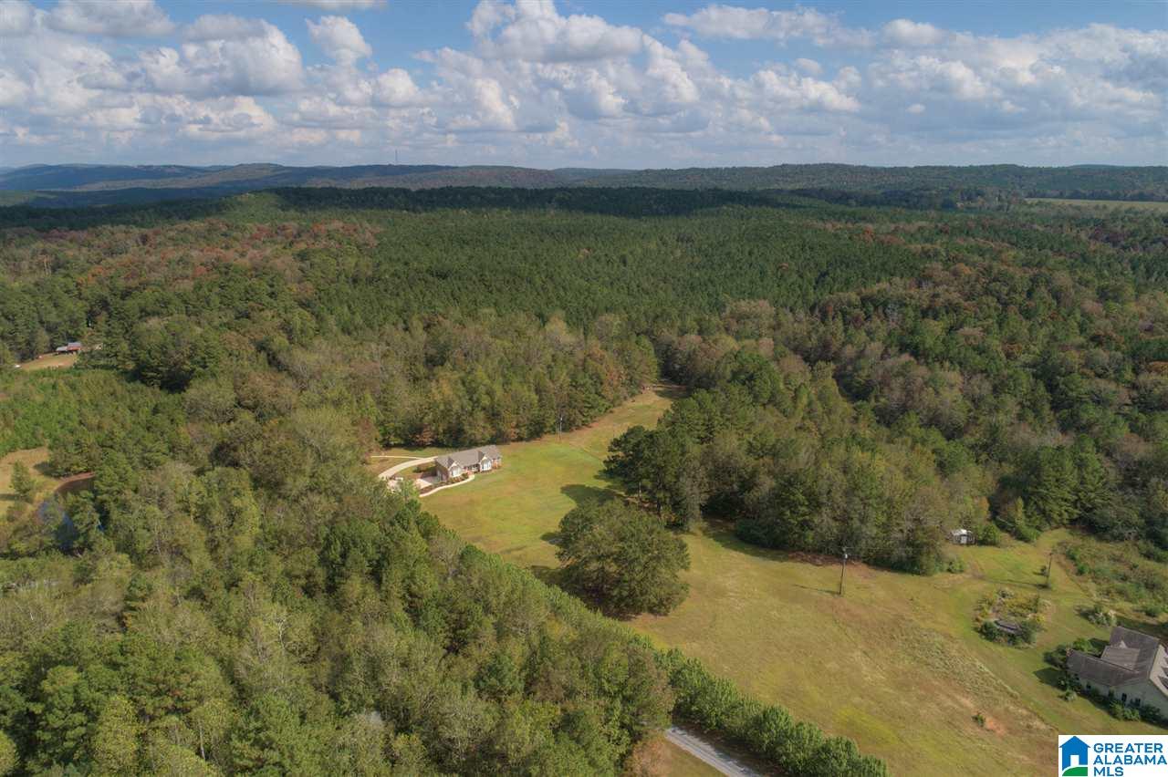 330 Conelia Lane Hayden, AL 35079 - Photo 38 of 38
