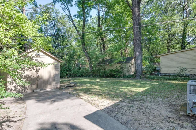a view of a yard with a tree