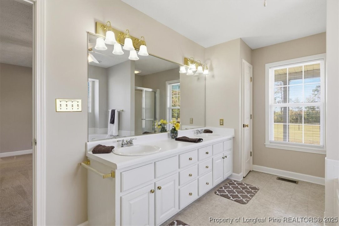 1594 Carroll Store Road Autryville, NC 28318 - Photo 21 of 36 a bathroom with a double vanity sink and a mirror