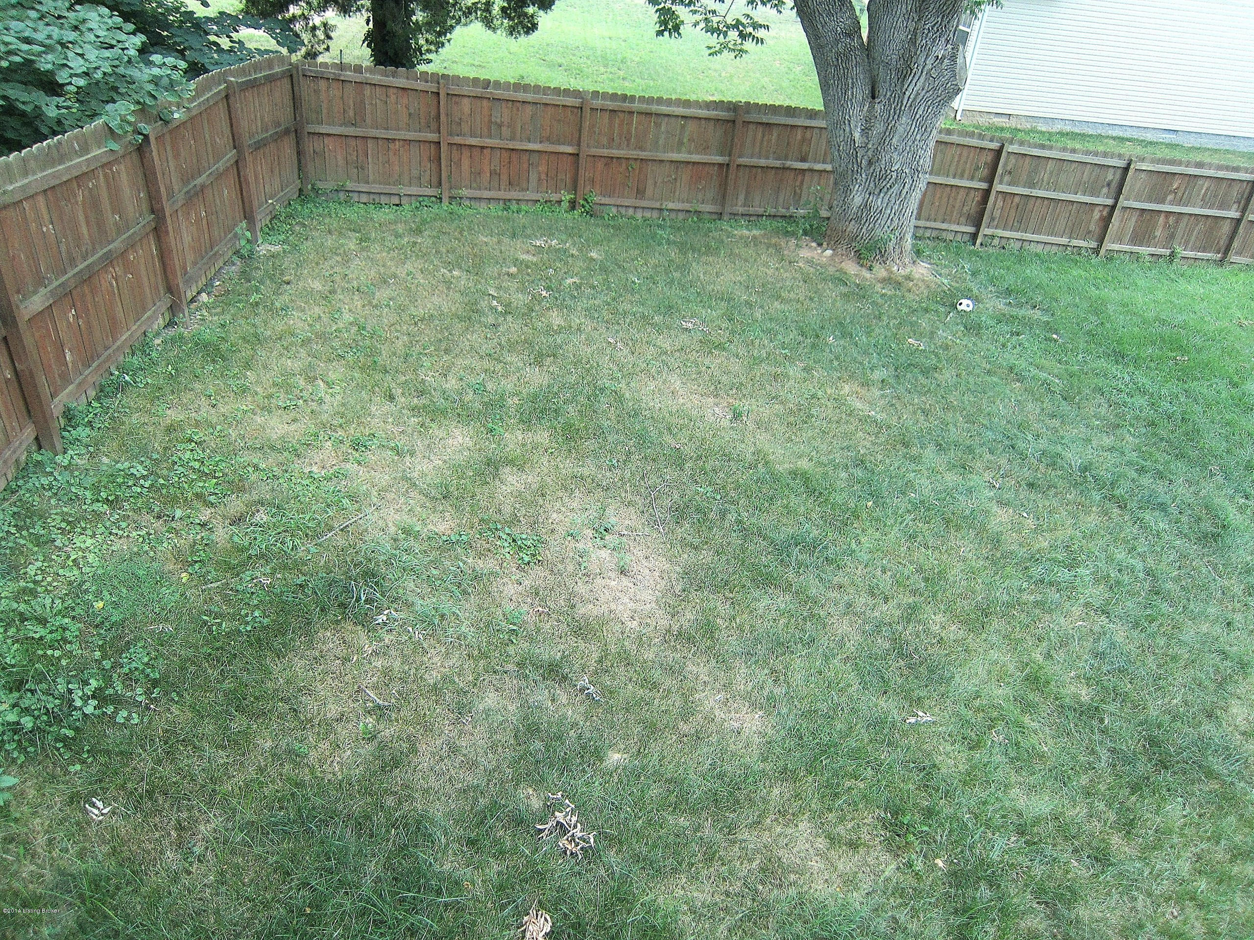 8806 Maple Road Louisville, KY 40219 - Photo 12 of 14 12_BACKYARD