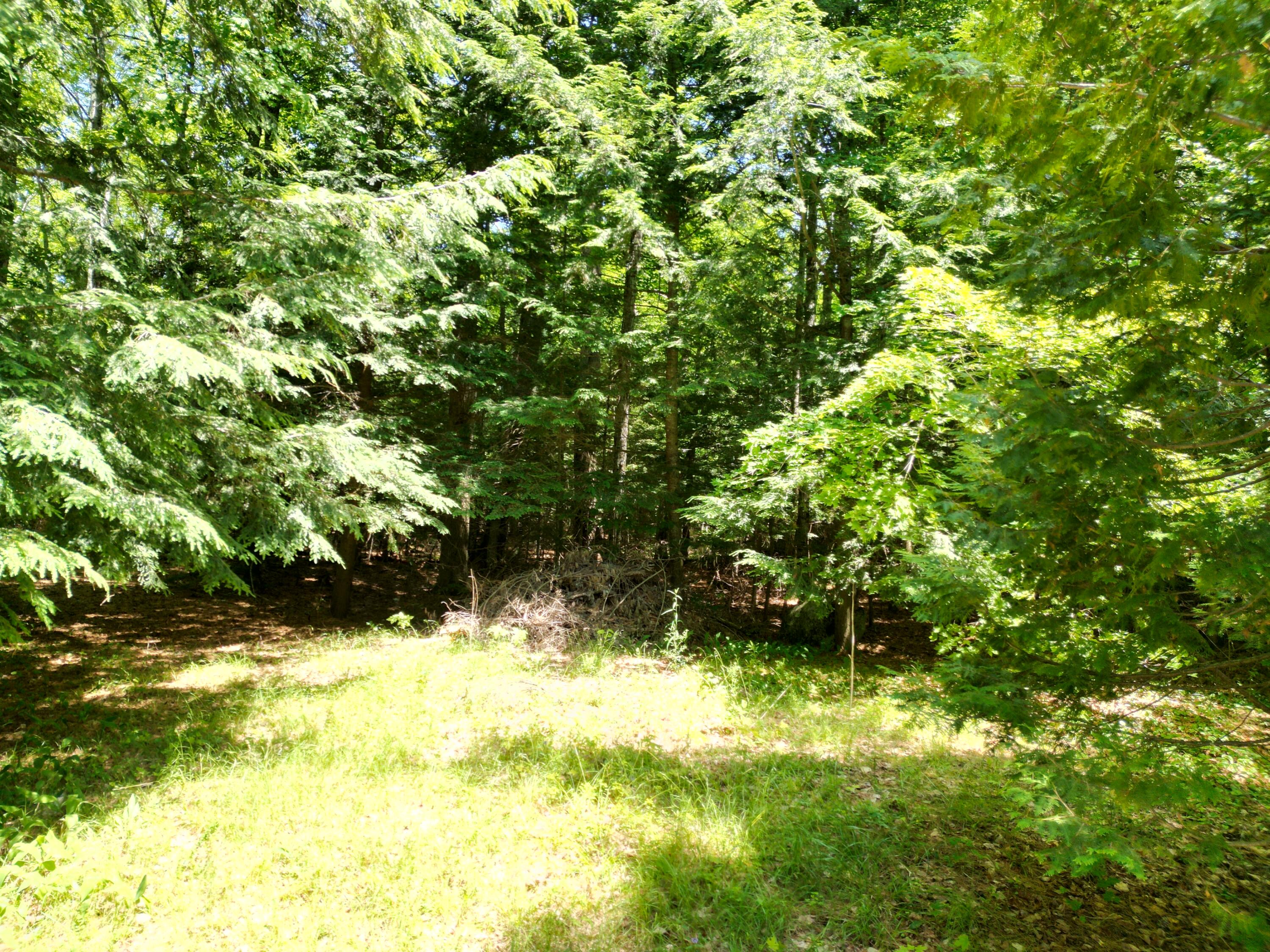 16 Millinocket Shores Road Lee, ME 04455 - Photo 38 of 40 DJI_0049