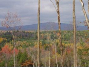 42 Garden Loop Road Winhall, VT 05340 - Photo 3 of 4