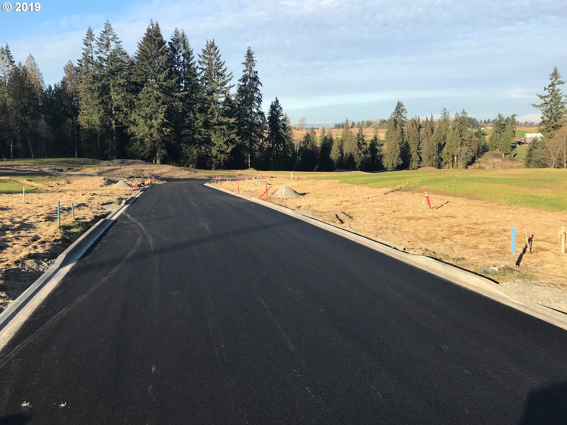 3900 South Hay Field Circle Ridgefield, WA 98642 - Photo 5 of 29