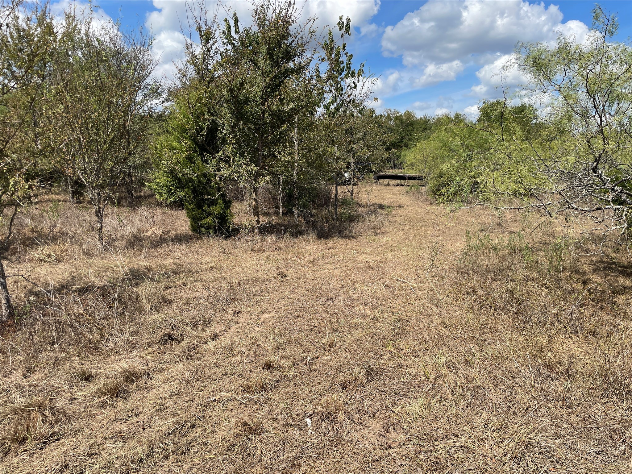 2 Prairie Grove Road Bremond, TX 76629 - Photo 13 of 28 Gallery Image 13
