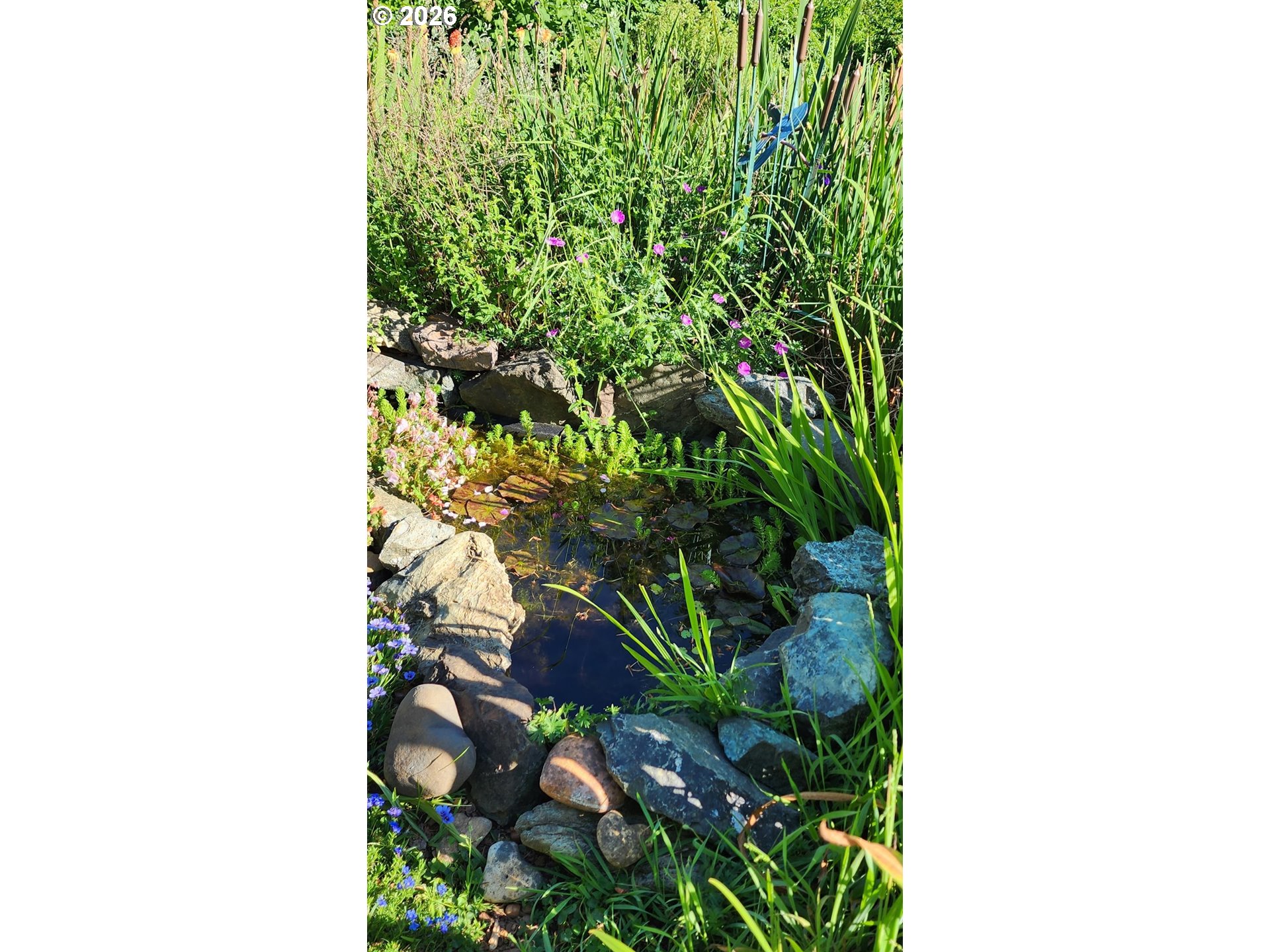 96422 Alder Ridge Road Brookings, OR 97415 - Photo 23 of 44 Pond