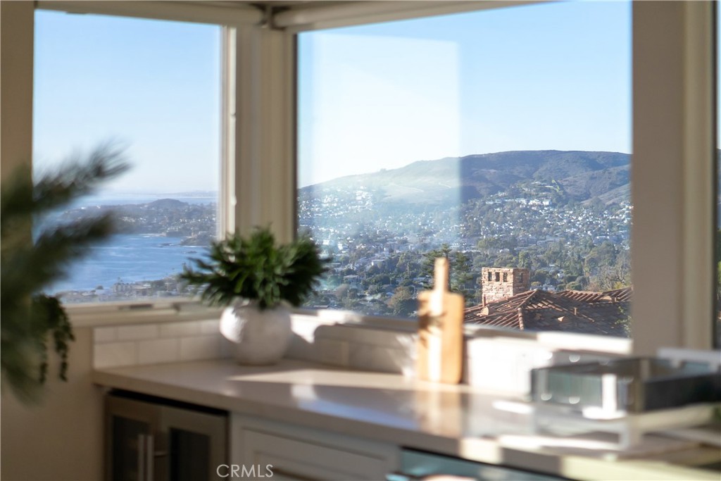 2192 Crestview Drive Laguna Beach, CA 92651 - Photo 23 of 54 a view of a flower pot on a table