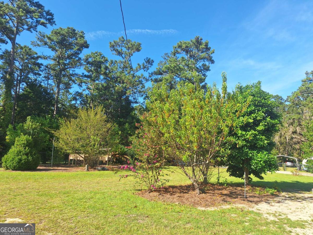 163 High Bluff Road Baxley, GA 31513 - Photo 32 of 52 a view of a yard