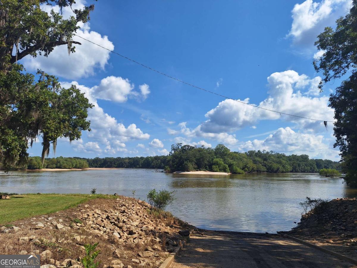 163 High Bluff Road Baxley, GA 31513 - Photo 33 of 52 a view of lake