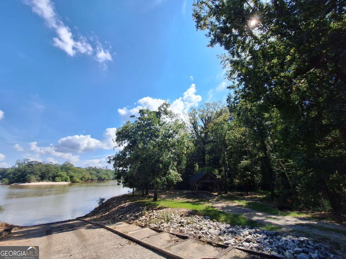 163 High Bluff Road Baxley, GA 31513 - Photo 34 of 52 a view of a lake with a mountain
