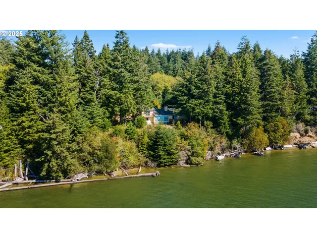 a backyard of a house with large trees