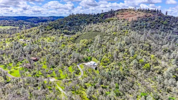 a view of a park with a tree