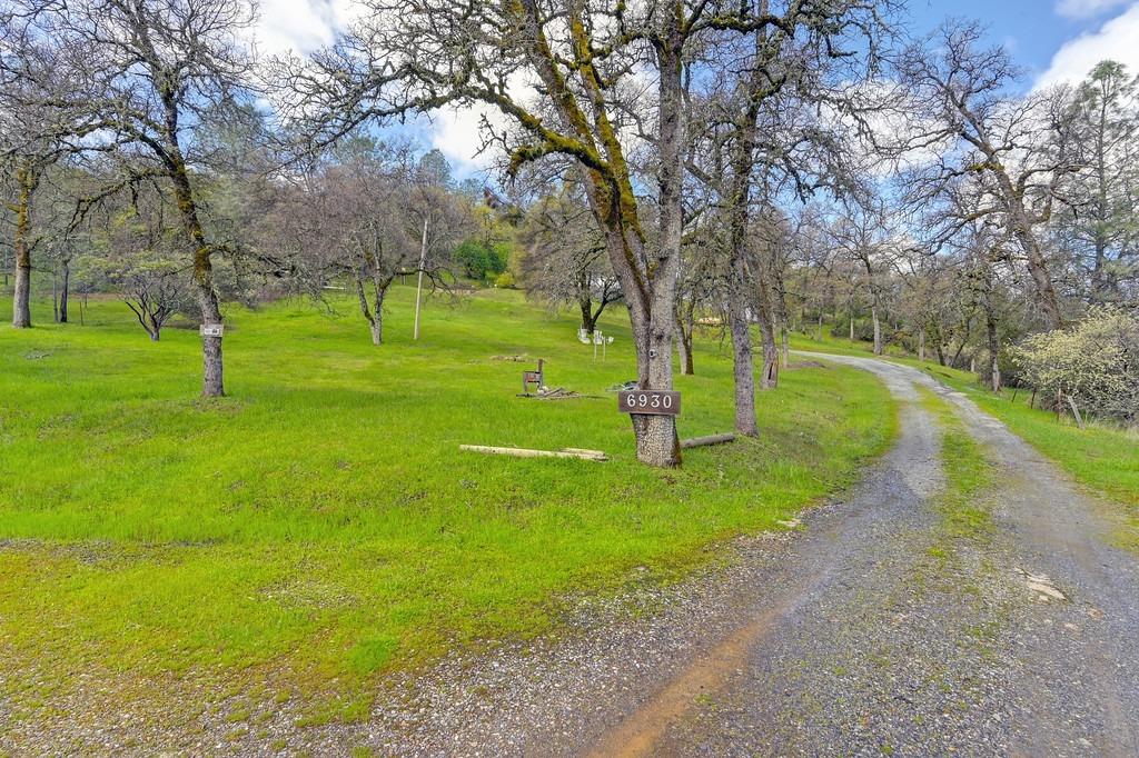 6930 Loggers Hollow Road Somerset, CA 95684 - Photo 38 of 42 a view of a park with a tree