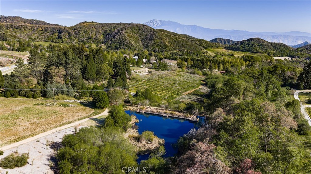 11821 Raspberry Lane Oak Glen, CA 92399 - Photo 45 of 49