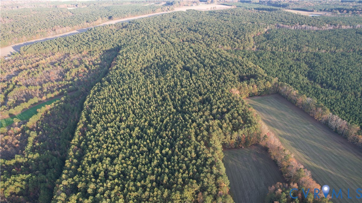 8821 Halifax Road Petersburg, VA 23805 - Photo 23 of 50