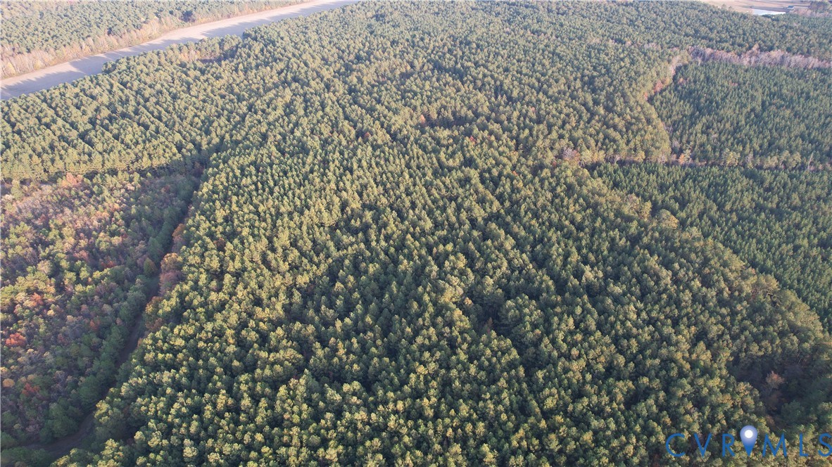 8821 Halifax Road Petersburg, VA 23805 - Photo 24 of 50