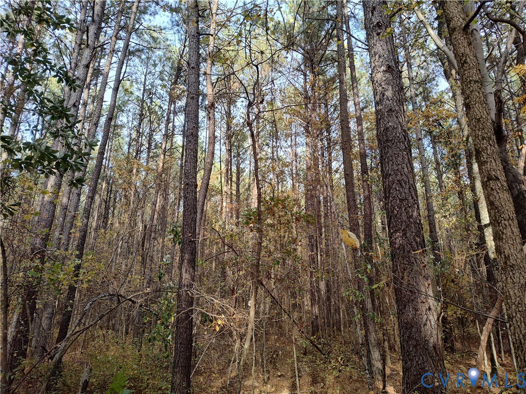 8821 Halifax Road Petersburg, VA 23805 - Photo 33 of 50