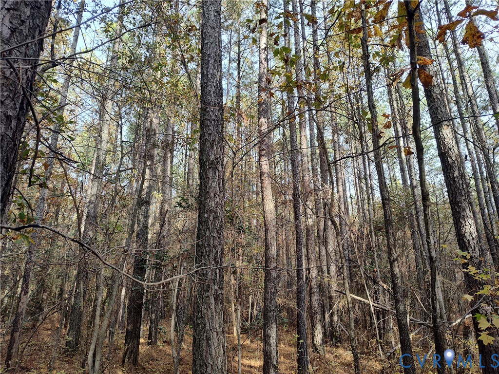 8821 Halifax Road Petersburg, VA 23805 - Photo 34 of 50