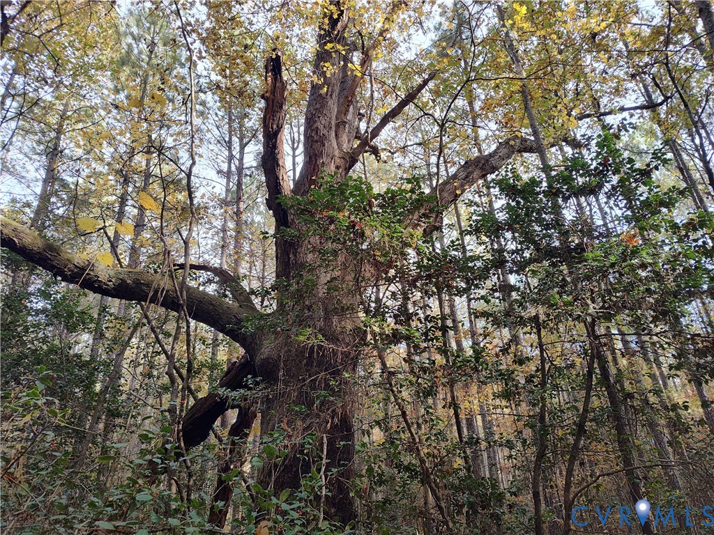 8821 Halifax Road Petersburg, VA 23805 - Photo 35 of 50