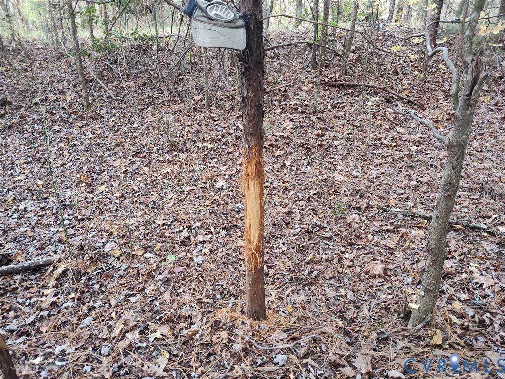 8821 Halifax Road Petersburg, VA 23805 - Photo 37 of 50