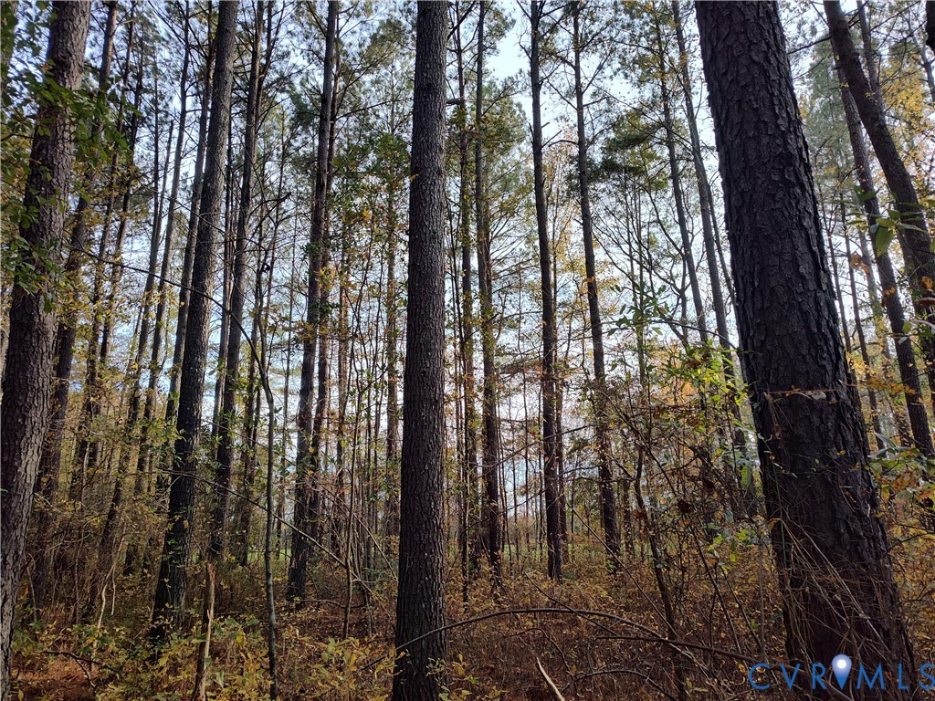 8821 Halifax Road Petersburg, VA 23805 - Photo 39 of 50