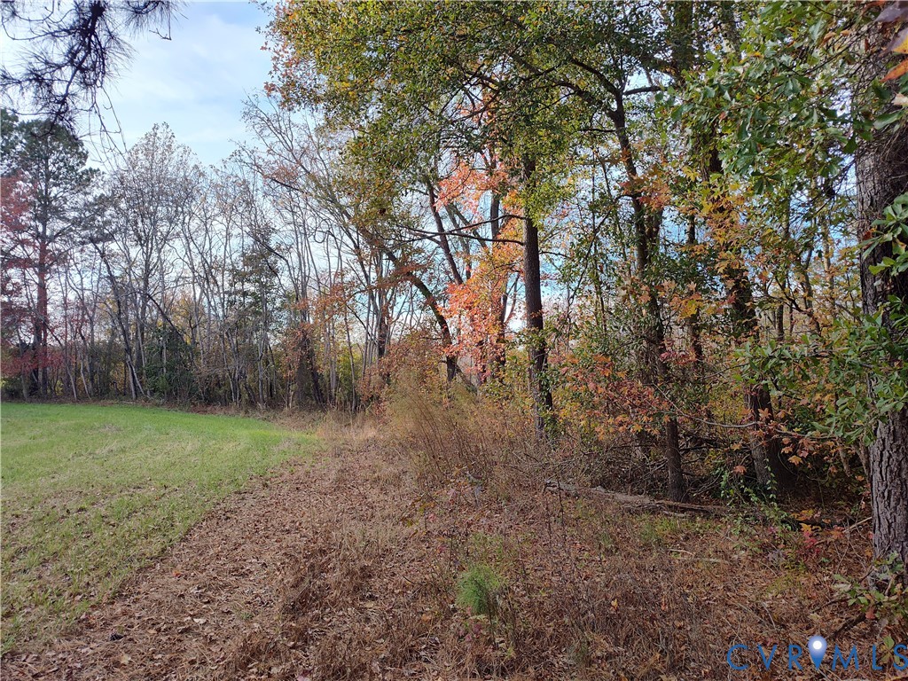 8821 Halifax Road Petersburg, VA 23805 - Photo 40 of 50