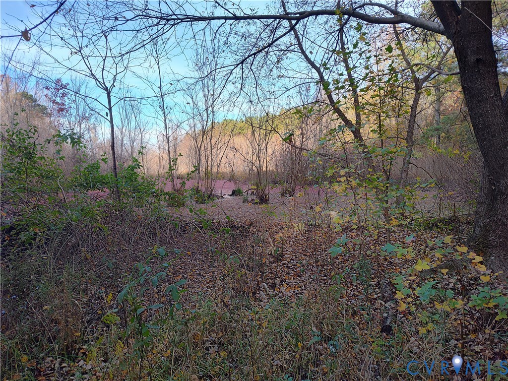 8821 Halifax Road Petersburg, VA 23805 - Photo 41 of 50