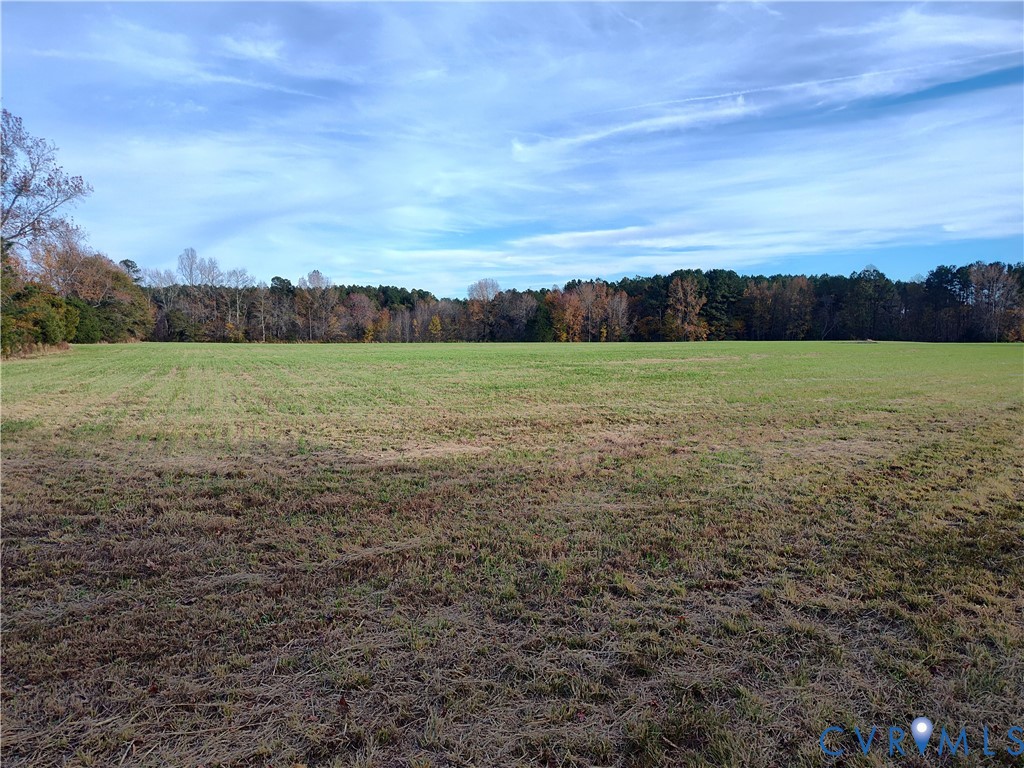 8821 Halifax Road Petersburg, VA 23805 - Photo 45 of 50