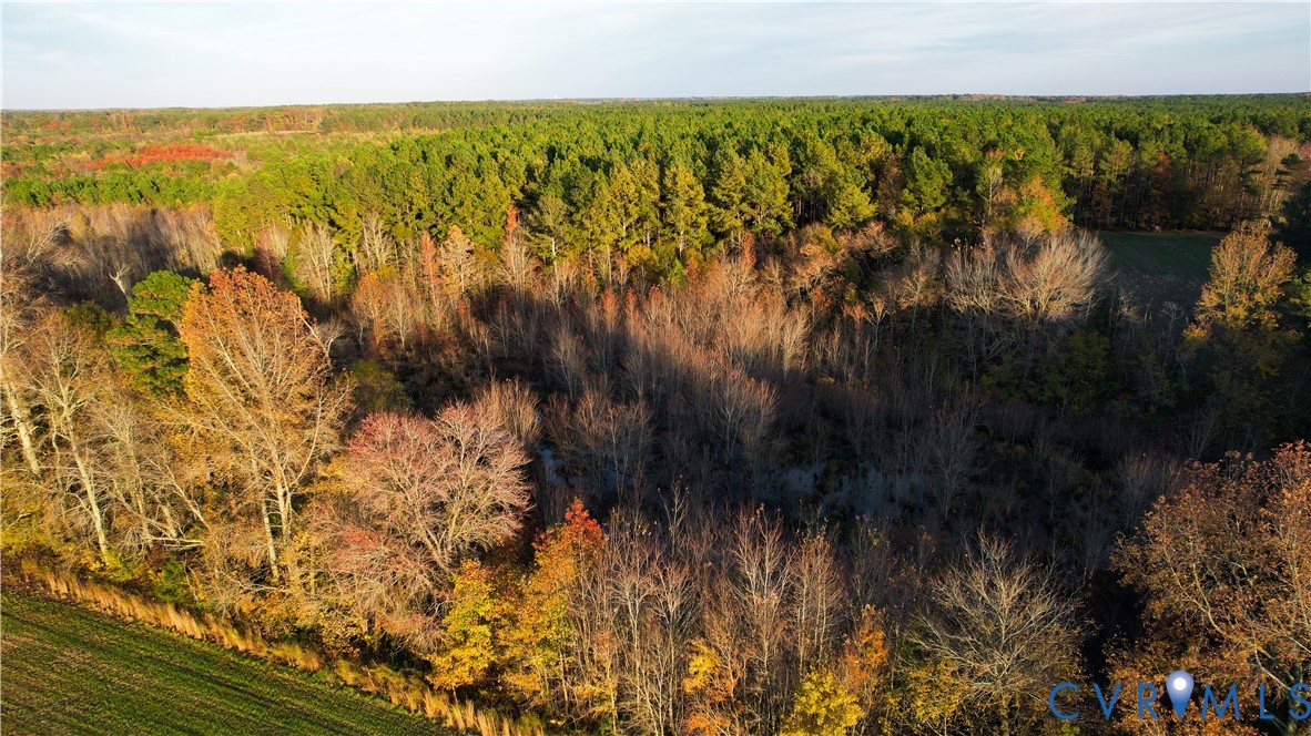 8821 Halifax Road Petersburg, VA 23805 - Photo 7 of 50