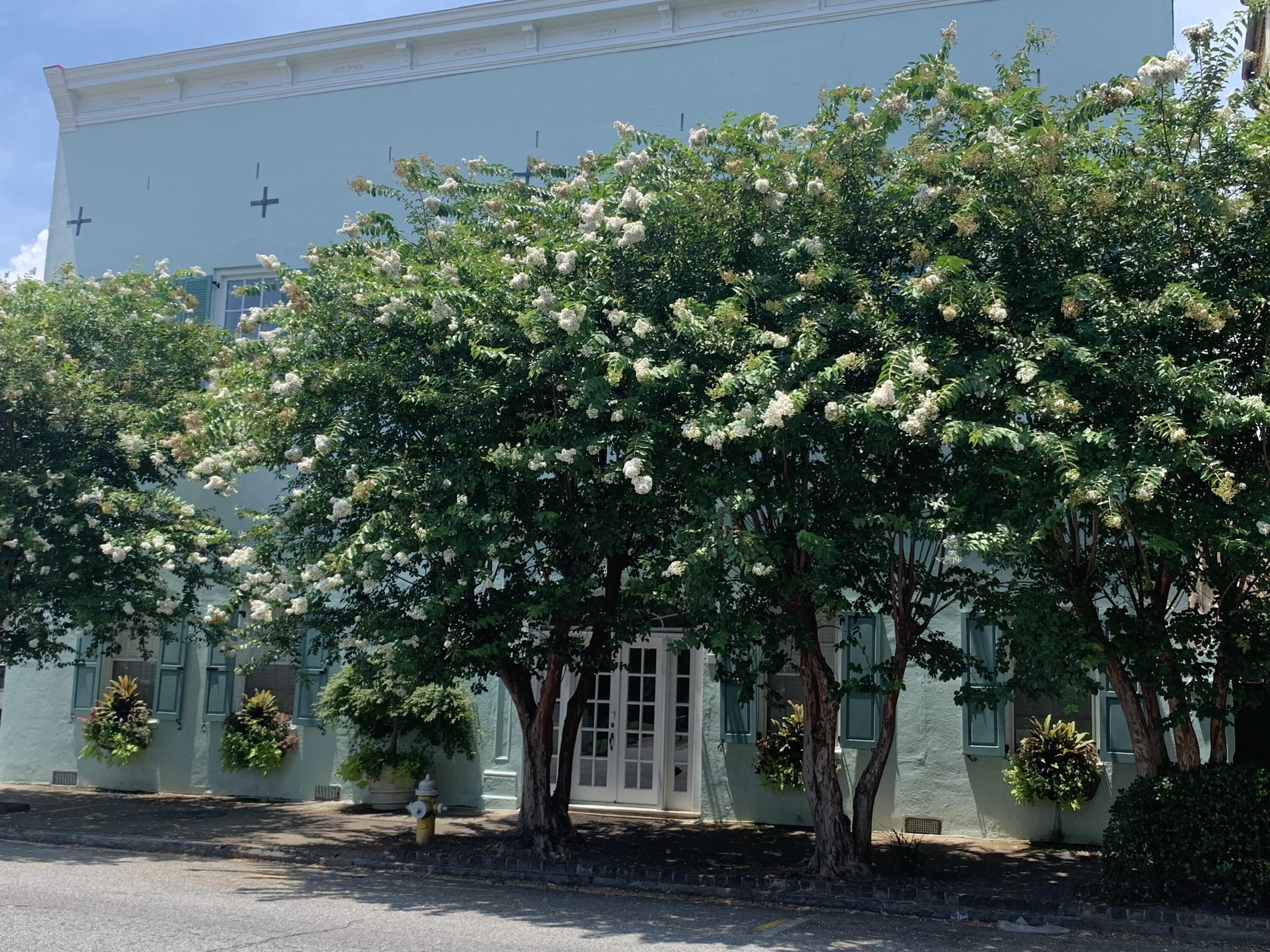 81 East Bay Street Charleston, SC 29401 - Photo 2 of 12 IMG_0737