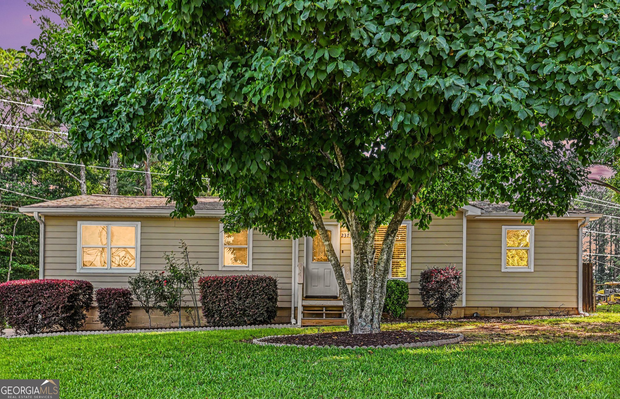 237 Palmetto Road Tyrone, GA 30290 - Photo 2 of 28