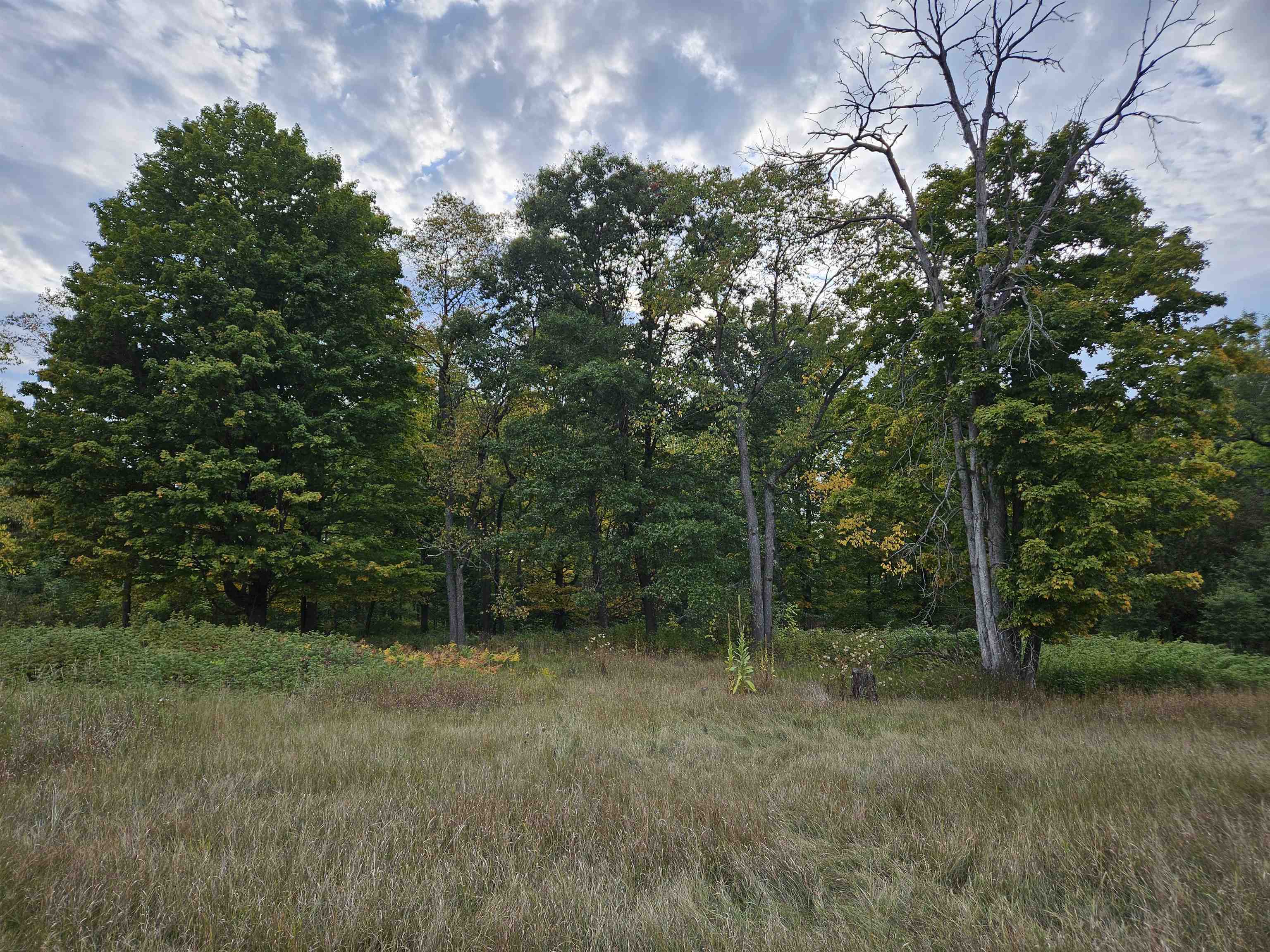 0 Twin Lake Road Marion, MI 49665 - Photo 4 of 33