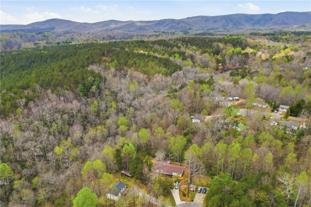 91 Ridge Creek Court Jasper, GA 30143 - Photo 4 of 28