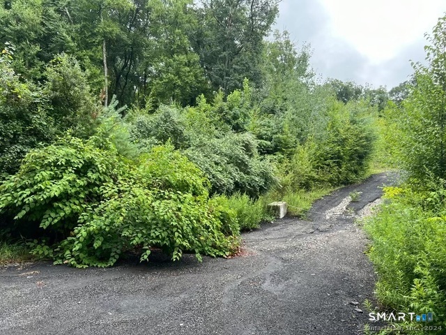 183 Mt Pleasant Road Newtown, CT 06470 - Photo 2 of 2 a view of a garden with plants