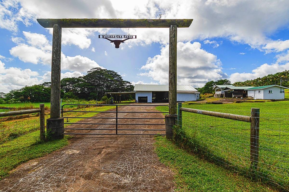 681 Hoaka Road Hilo, HI 96720 - Photo 2 of 26 a view of a back yard