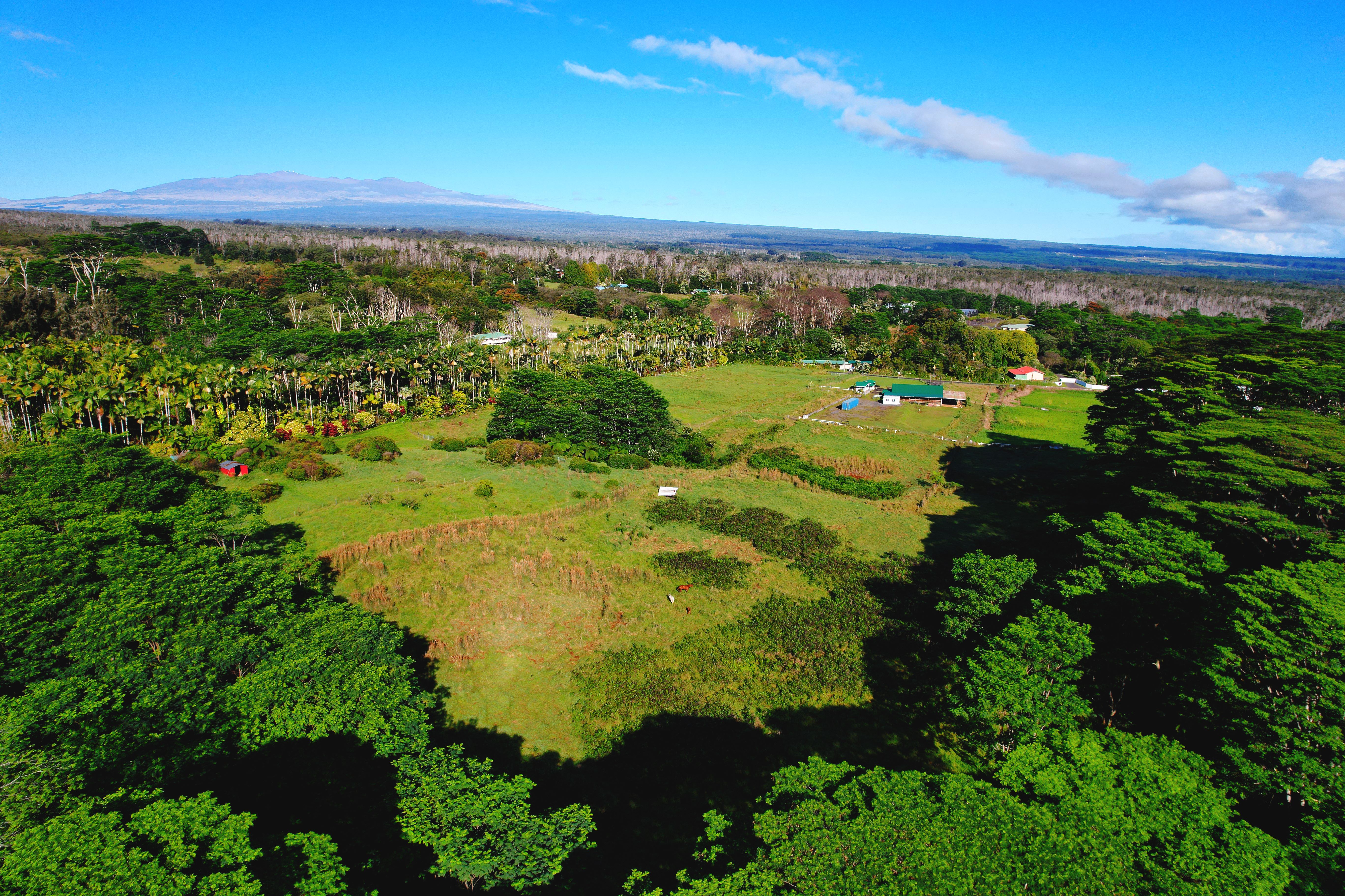 681 Hoaka Road Hilo, HI 96720 - Photo 25 of 26 a view of lake