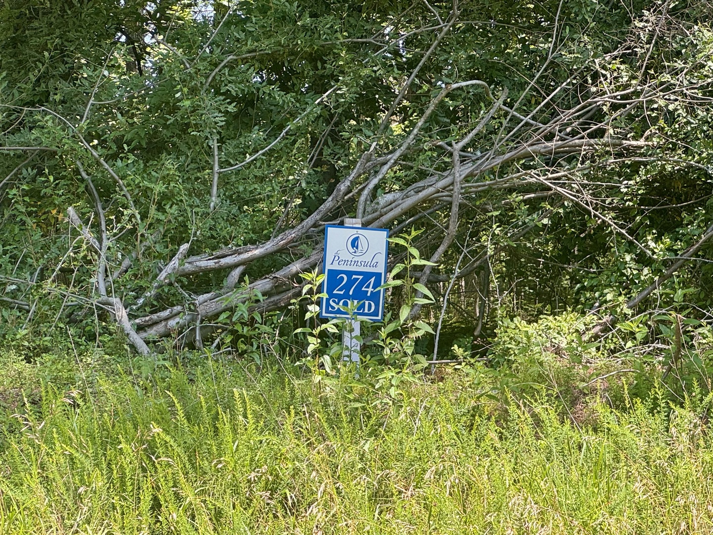 Lot 273-274 Rocky Point Road Goreville, IL 62939 - Photo 4 of 11