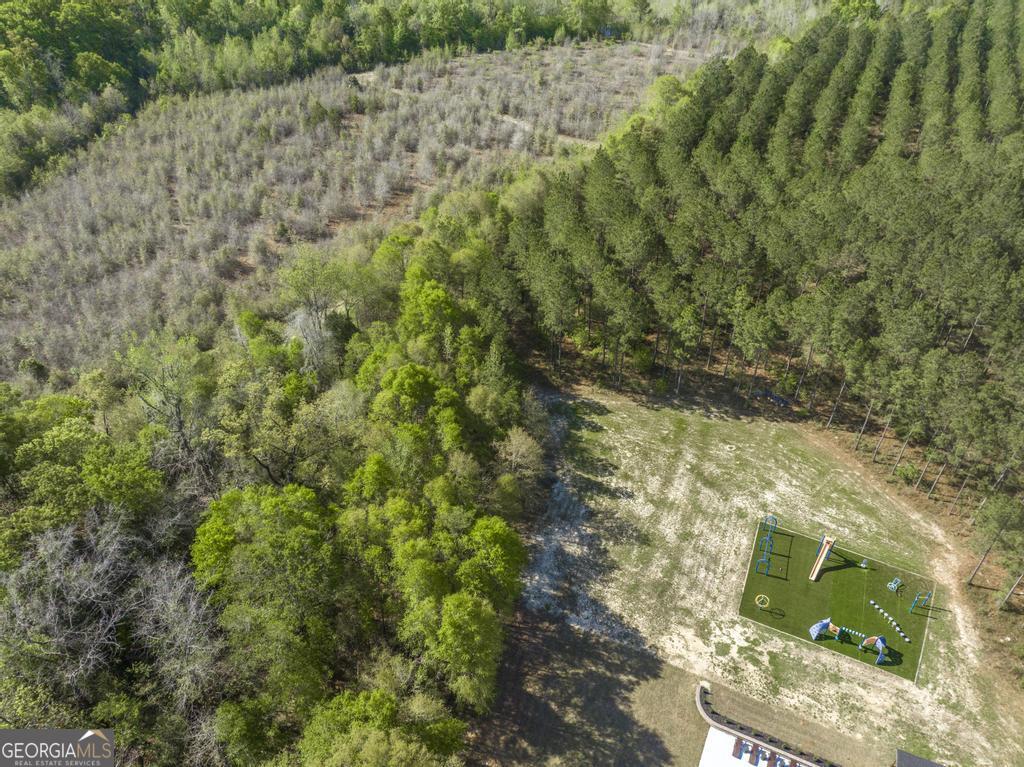 793 Springhaven Road Dexter, GA 31019 - Photo 47 of 59