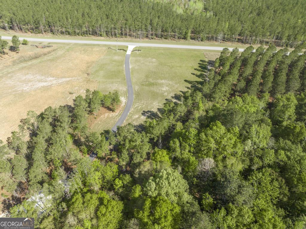 793 Springhaven Road Dexter, GA 31019 - Photo 57 of 59