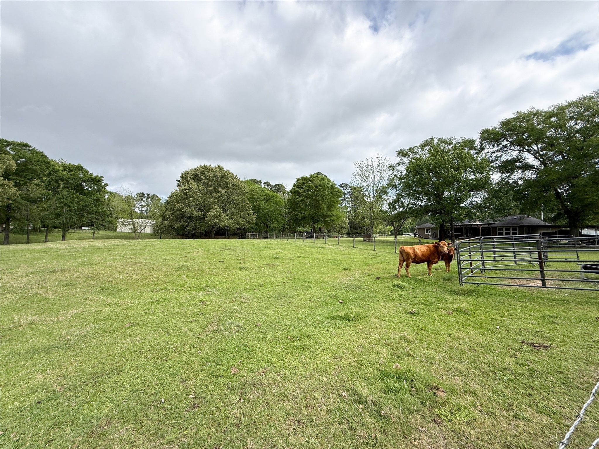 12220 Fm 356 Trinity, TX 75862 - Photo 22 of 50